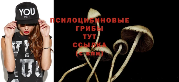 спайс Бородино
