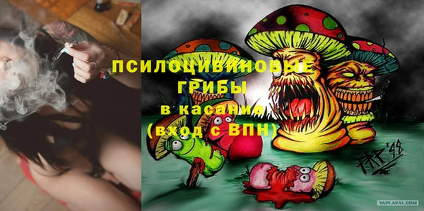 ГАЛЛЮЦИНОГЕННЫЕ ГРИБЫ Богородск