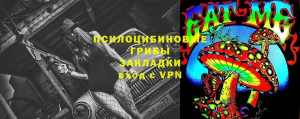 ГАЛЛЮЦИНОГЕННЫЕ ГРИБЫ Богородск