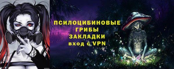 ГАЛЛЮЦИНОГЕННЫЕ ГРИБЫ Богородск