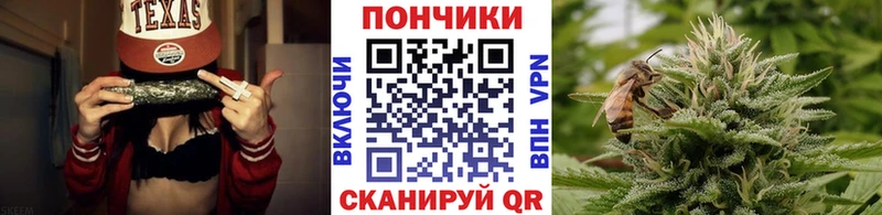 Каннабис планчик Донецк